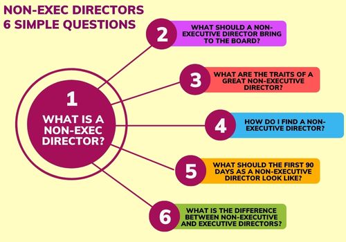 What is a Non-Executive Director?